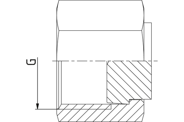 A06ORF-V