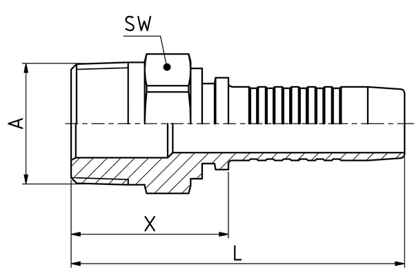XV02NM04