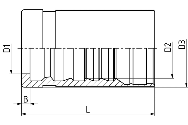 HV06