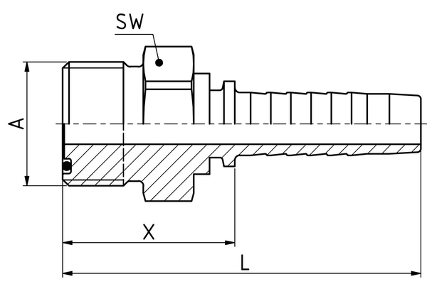 VC06ORM06