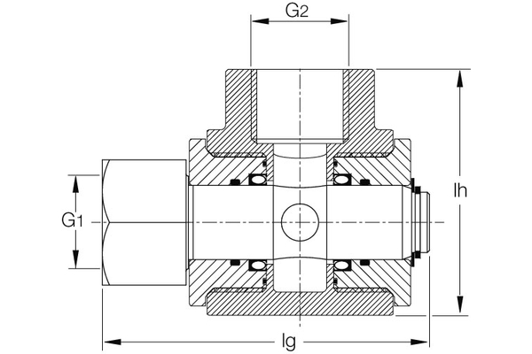 DG2NI10-W